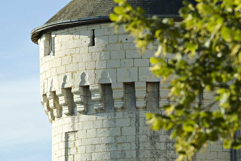 Château De Marçay Ngoại thất bức ảnh